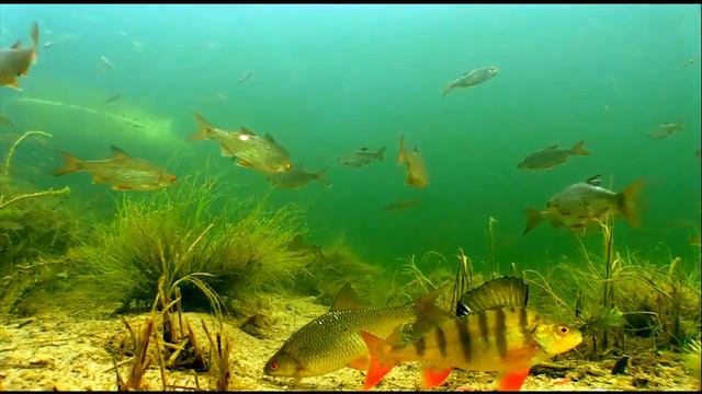 Рыбалка на севере смотреть онлайн