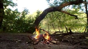 ✅В костре взорвался баллон.