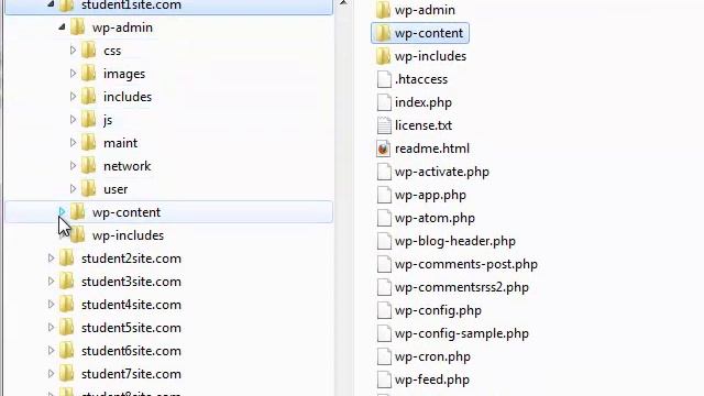 Wordpress file structure смотреть онлайн