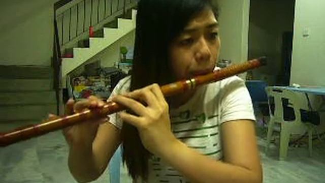 美丽的神话 - 笛子版(Chinese Flute Cover)