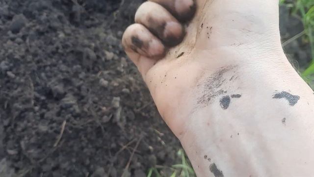 Чернозем с Красноярского района Самарской области. Рудадар смотреть онлайн