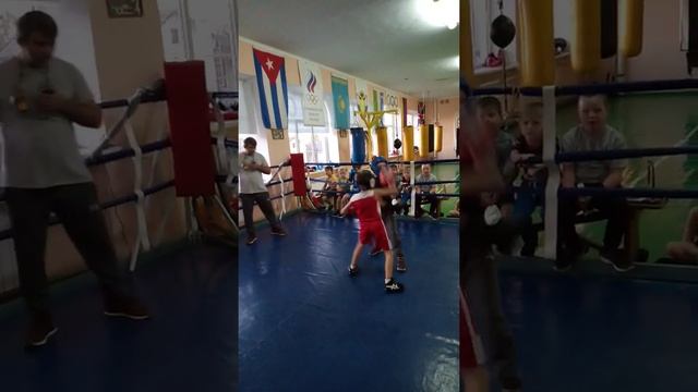 Бой младших классов бокса Адыгеи смотреть онлайн