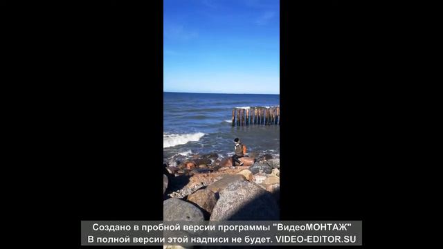 Отдых в Калининграде смотреть онлайн