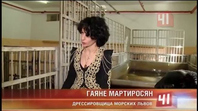 Бассейн в цирке: артисты вылили на арену 150 тонн воды смотреть онлайн
