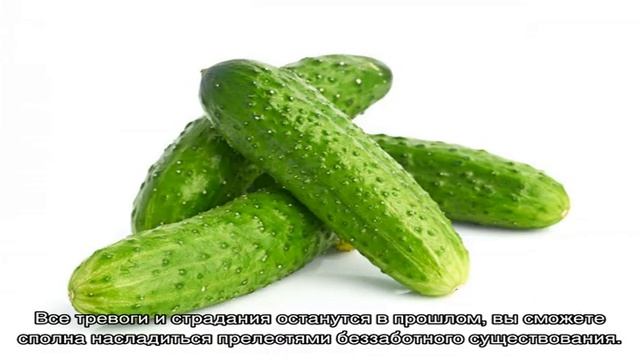 «Сонник Огурцы свежие приснились, к чему снятся во сне Огурцы свежие» смотреть онлайн