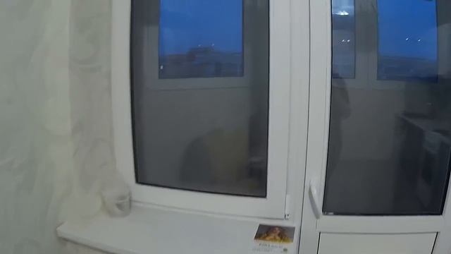 КрасноДар. Начали Новый Бизнес-Доверительное управление Вашей недвижимостью смотреть онлайн