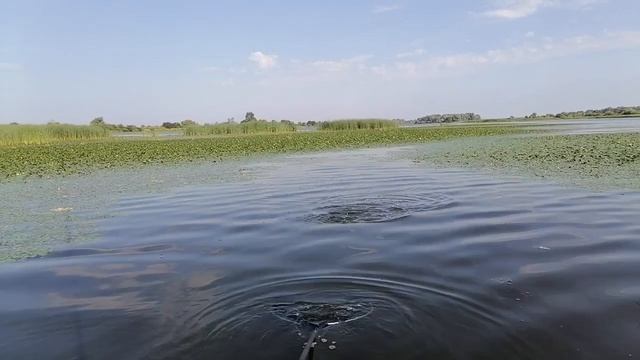 часть 2 Волжские протоки... плотва и краснопёрка ( с продолжением) смотреть онлайн