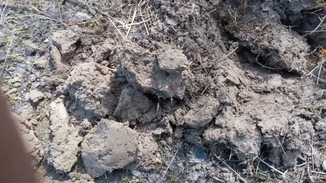 Печальный коп.Заключение. смотреть онлайн