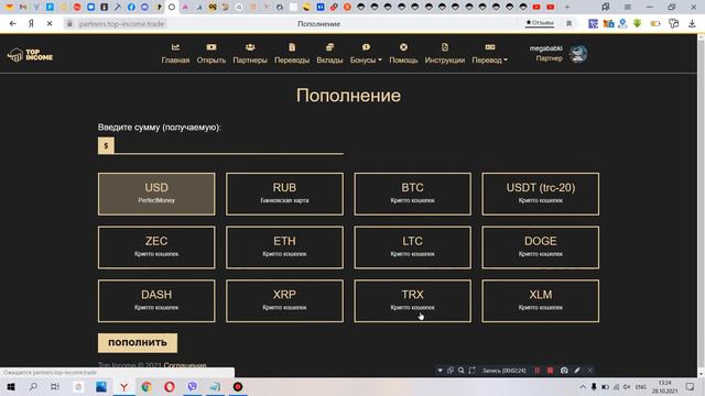 top-income проект работает и развивается смотреть онлайн
