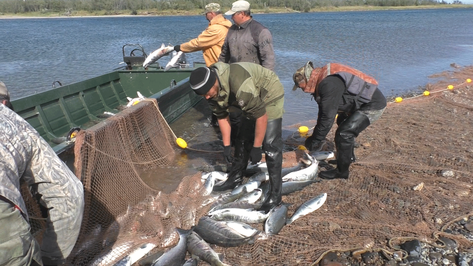 Улья золотая 7-я часть смотреть онлайн