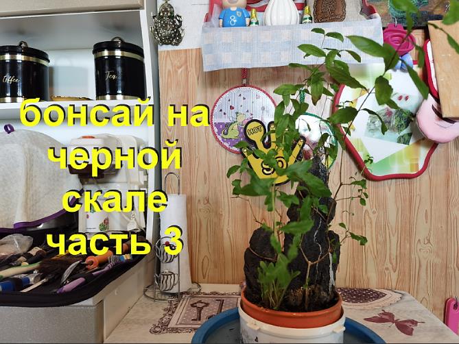 3.Бонсай на черной скале из граната часть 3 обрезка.