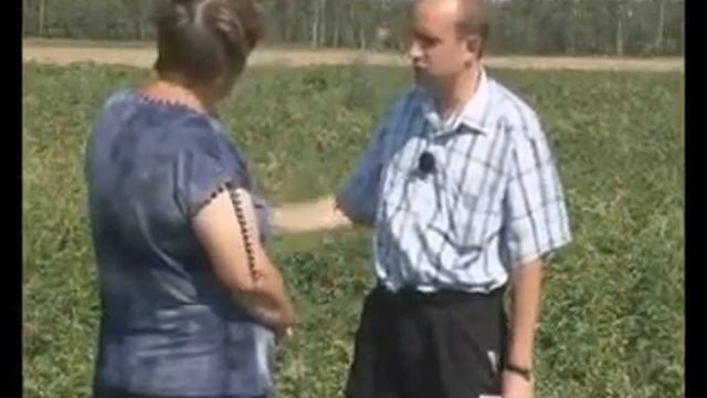 Сад и огород Посадка картофеля 1 смотреть онлайн