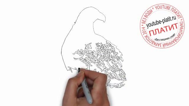 Как нарисовать задумавшегося орла карандашом поэтапно за 23 секунды смотреть онлайн