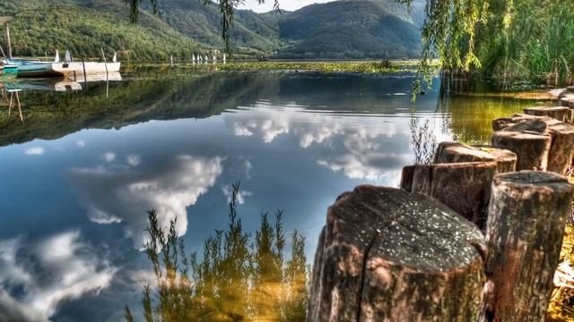 Жители зеленого леса начинают Побеждать грядет Великая Победа смотреть онлайн