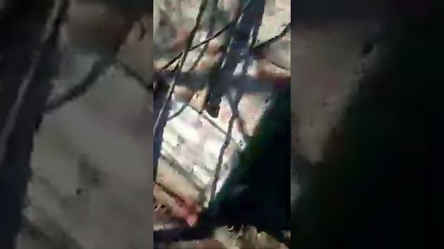 ПЧЕЛОВОД. Часть 2 аппарат для крем меда смотреть онлайн