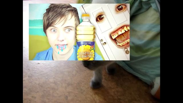 //Обзор Кота "Barsa"//И масло которое так любит "ИванГай"//От Bars TV// смотреть онлайн