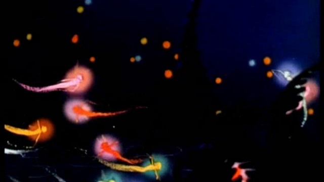 Колыбельная Теоны Дольниковой смотреть онлайн