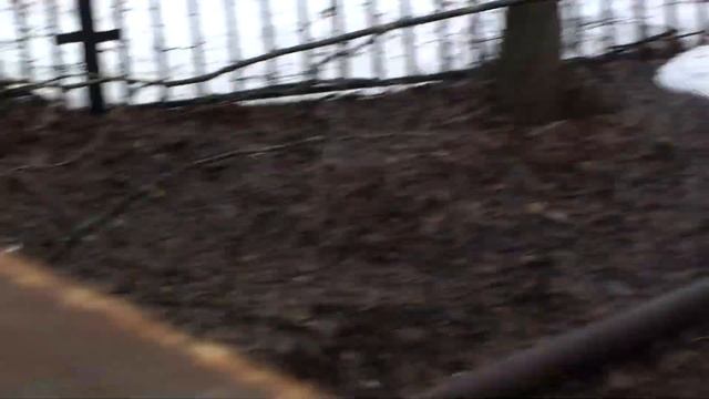 Подьём уровня воды в реке Десна что протекает по городу Троицк. съёмка в РЦ Красная Пахра смотреть онлайн