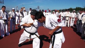 Дальневосточная школа по Кекусинкай 27-31 июля г.Владивосток о.Русский