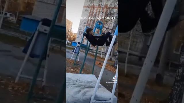 считается за кумкват смотреть онлайн