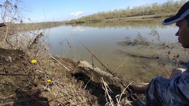 Ловля Голавля на корочку хлеба. смотреть онлайн