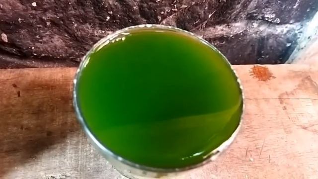 Praktek membuat tape ketan materi bioteknologi смотреть онлайн