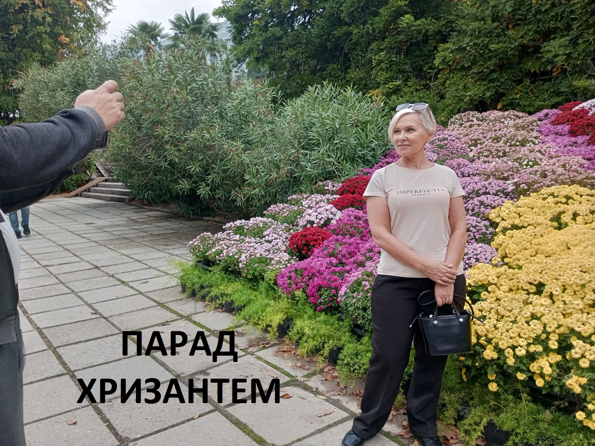 Поездка на парад хризантем в Ялту смотреть онлайн