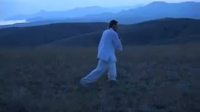 Янши Тайцзи цюань. Фрагменты формы.