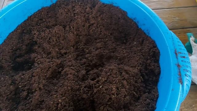 Грунт kekkila! Для рассады Эустомы подготовка грунта! смотреть онлайн