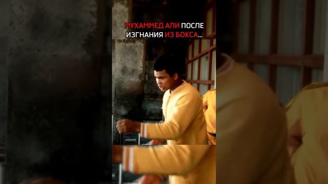 Мухаммед Али до и после изгнания из бокса. #muhammadali #мухаммедали #бокс #boxing #recommended смотреть онлайн