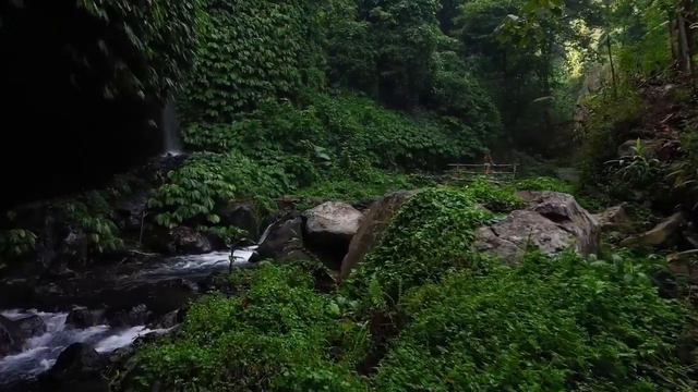 BALI SUMMER MIX 2022 🍓 Best Of Tropical Deep House Music Chill Out Mix 2022 🍓 Chillout Lounge