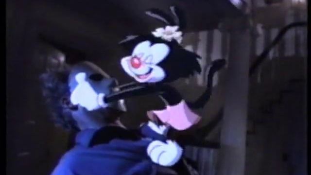 Animaniacs Video Game (1994)