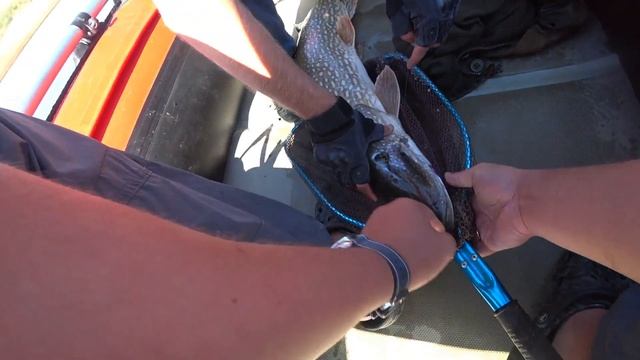 Трофейная рыбалка в Крыму: На что клюет крупная щука смотреть онлайн