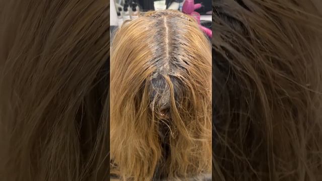 Wella Bronde 8 Products 1 Client #hairupideas #wella #wellakoleston смотреть онлайн