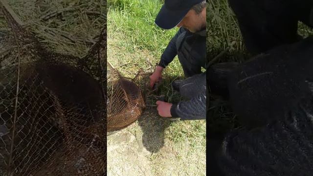 Рыбалка на Кавказе 2 мая 2019 смотреть онлайн