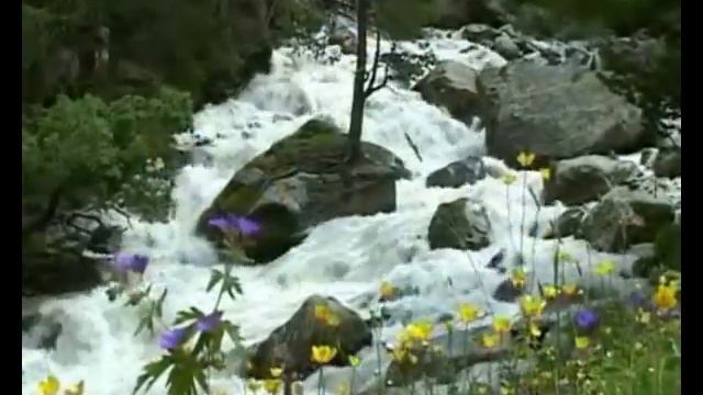 Видеозарисовка из долины реки Учкулан смотреть онлайн