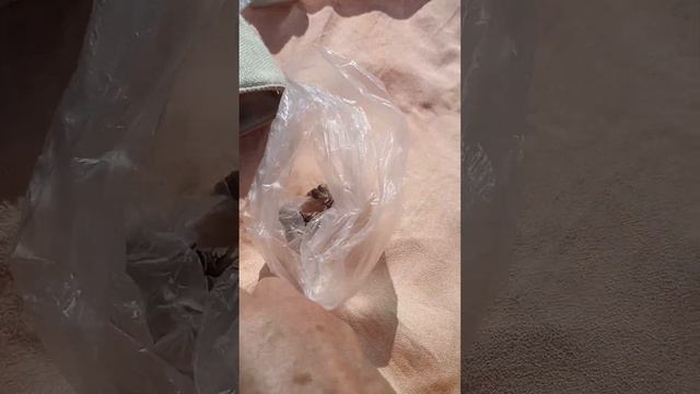 Первый фантастический урок! смотреть онлайн