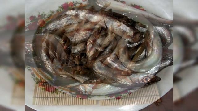 Грошовая Рыба оказалась на вес Золота: Теперь не коту покупаю, а себе! смотреть онлайн