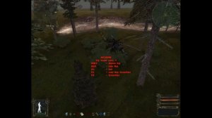 S.T.A.L.K.E.R. - Режим полёта