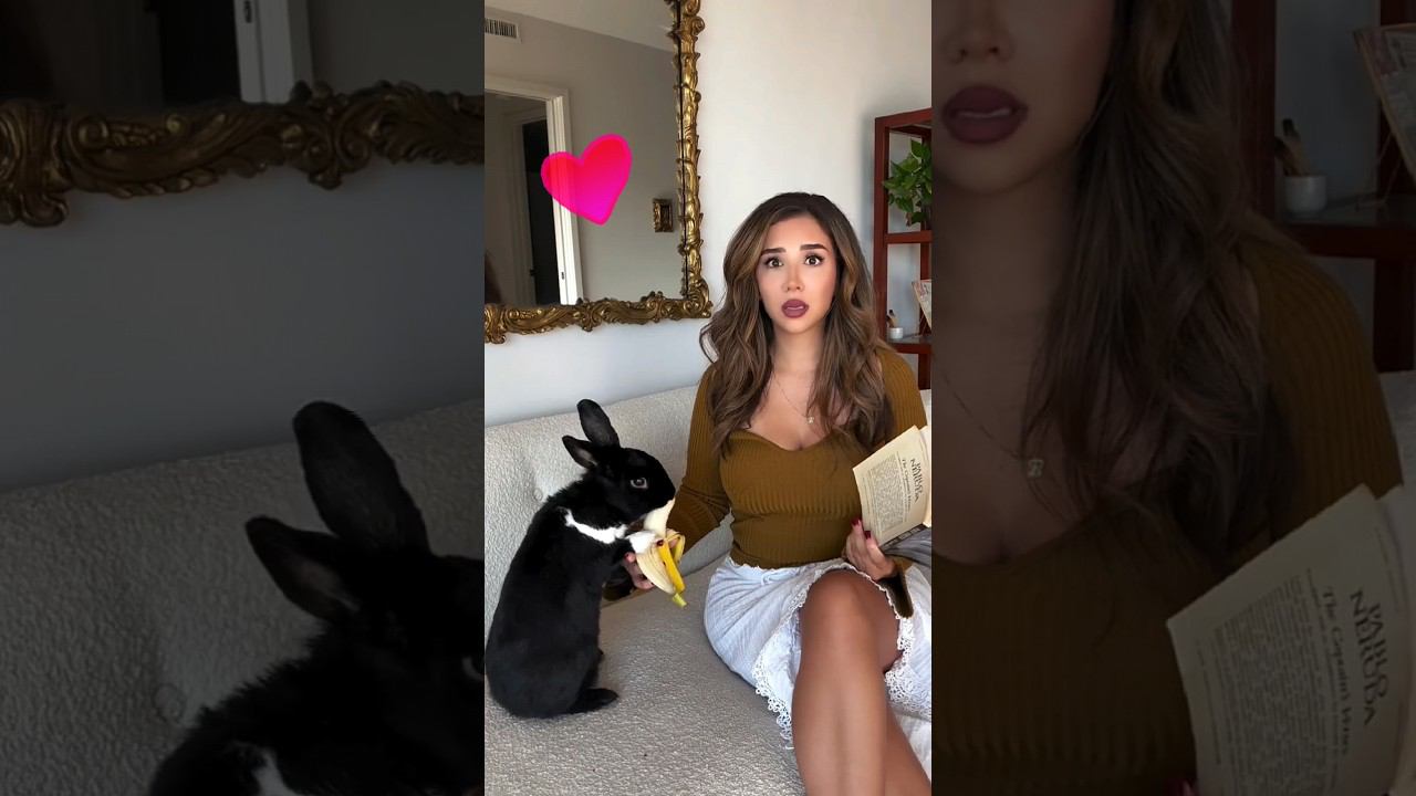 Делиться надо #кролик_банан смотреть онлайн