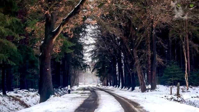 Сочельник перед Рождеством 2020 Что нельзя делать в этот день смотреть онлайн