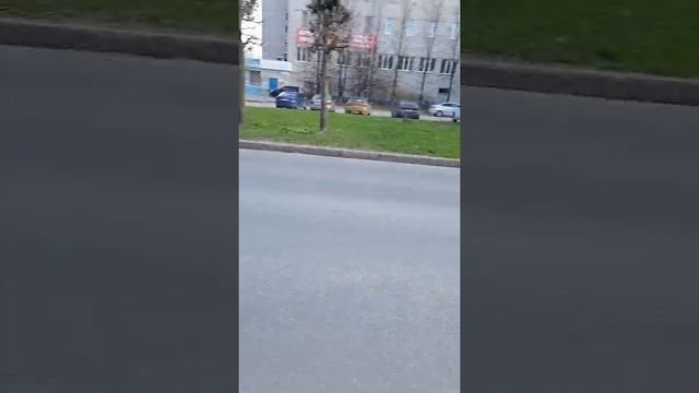 почему кипит газель? смотреть онлайн