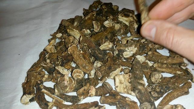 Корень одуванчика, купить. смотреть онлайн