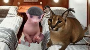 Вне закона|6 эпизод|Отдать концы! (Сериал про шлёпу)