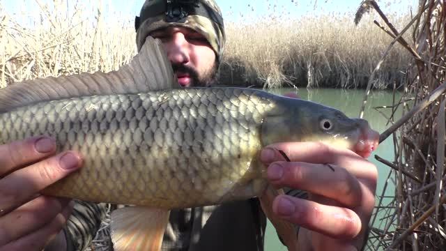 Рыбалка Тушиловка - средний канал день 2-ой смотреть онлайн