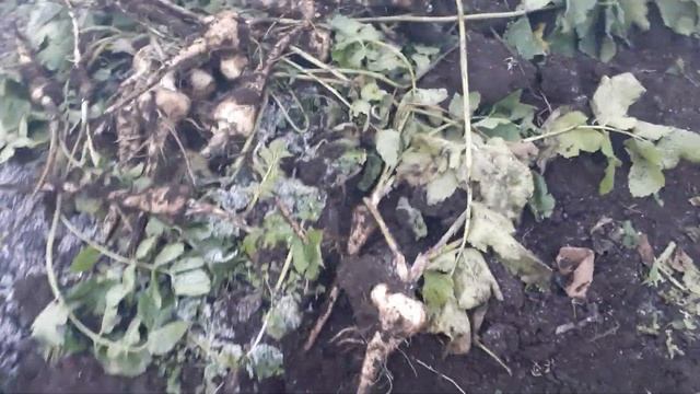 DIY Мастерская