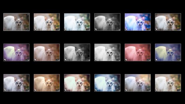 17 Ways to Swing a Cat - CONTRASTLY Lightroom Presets Demo смотреть онлайн