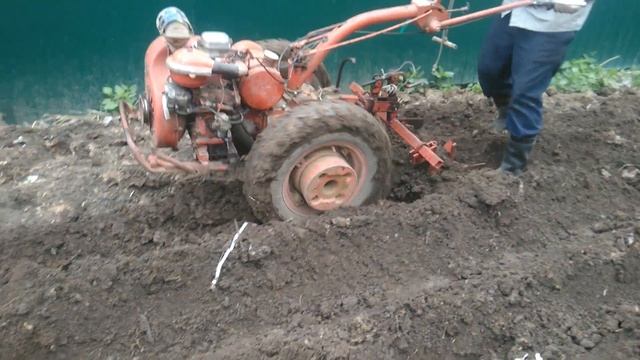 Мотоблок МТЗ 05 Беларус1988 года. Нарезка грядок мото блоком МТЗ под картошку. 11.05.2019. смотреть онлайн