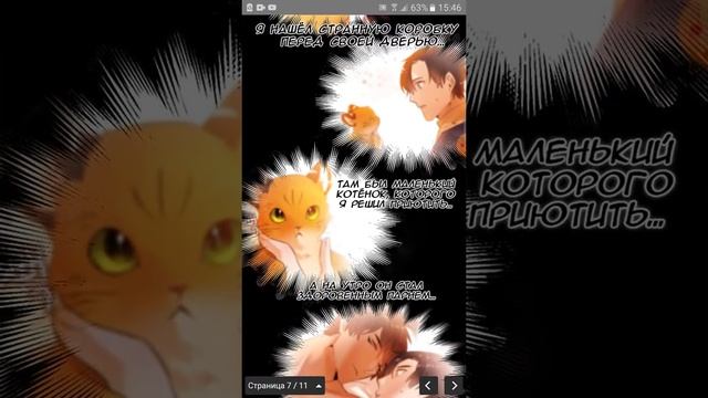 "кот в картонной коробке "глава 2 смотреть онлайн
