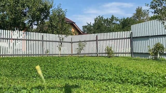 Газонокосилка (аккумуляторная) Worx WG779E из Леруа Мерлен: обзор от А до Я смотреть онлайн